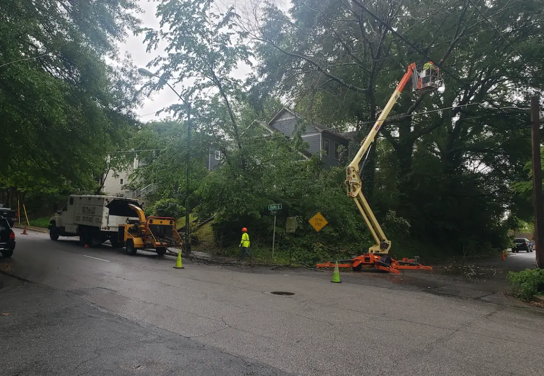 Saturated ground and root failure in Metro Atlanta