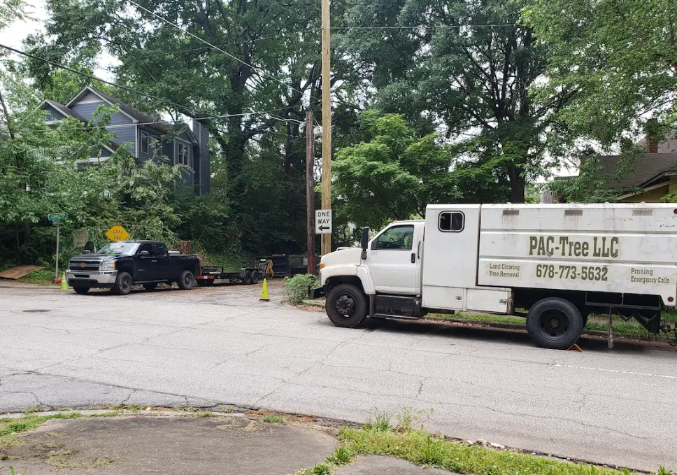 Why Roswell homeowners and businesses choose PAC-TREE