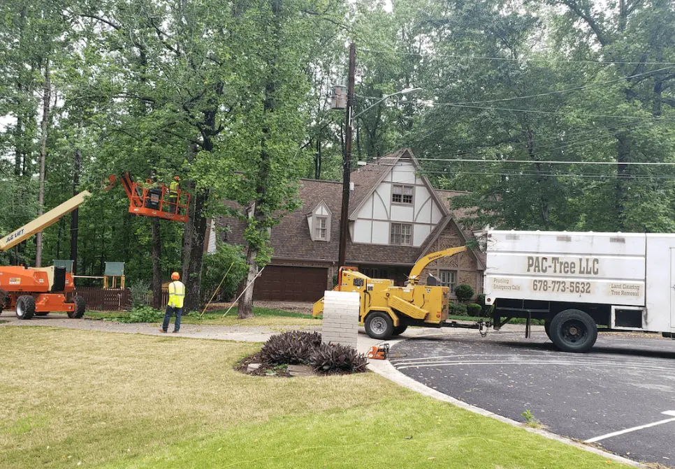 Emergency tree service in Johns Creek, Georgia
