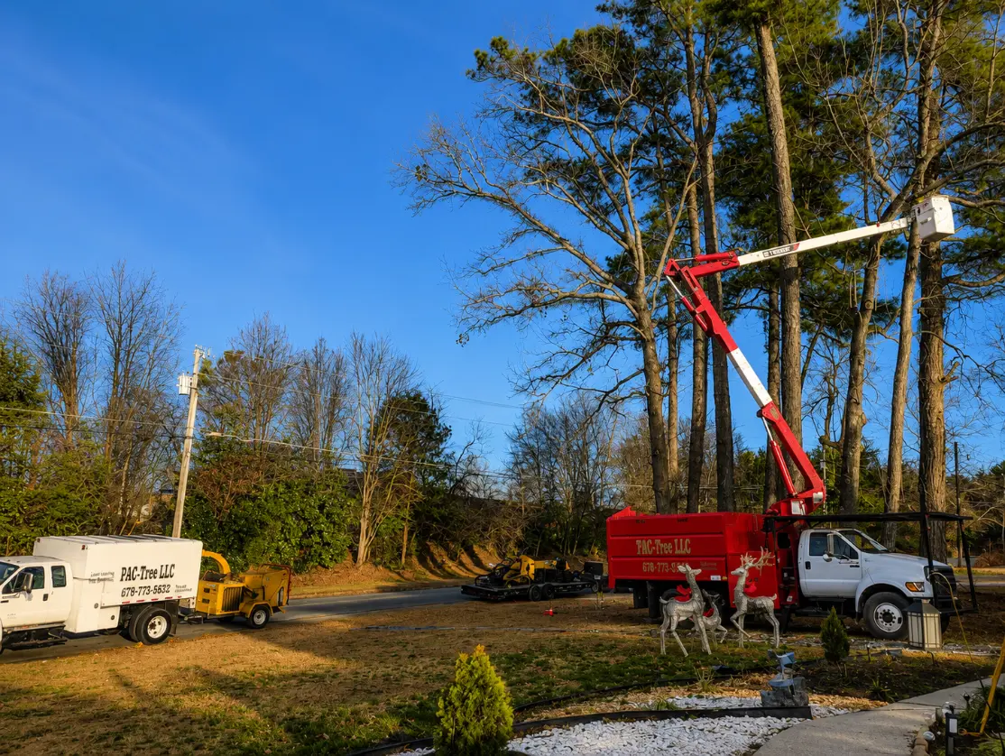 PAC-TREE approach to tree care in Roswell, Georgia