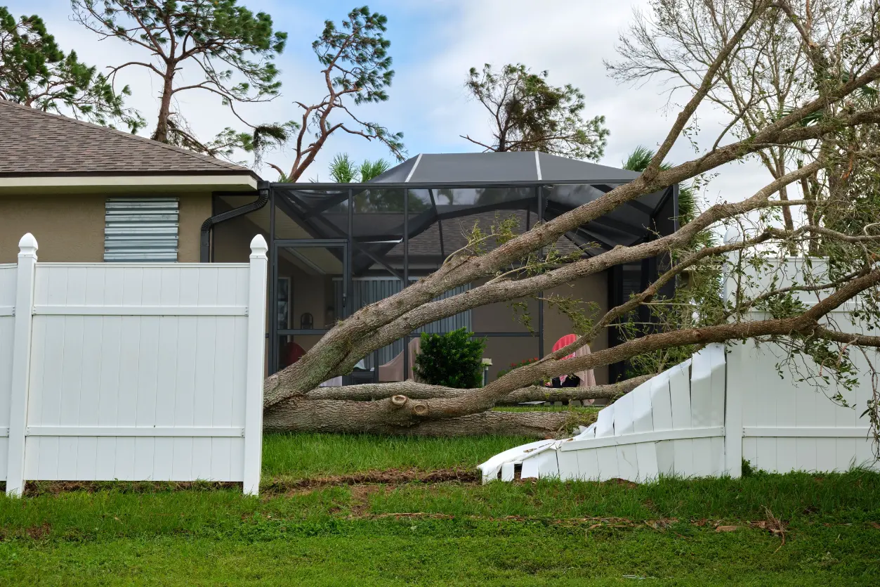 Emergency tree service in Brookhaven, Georgia