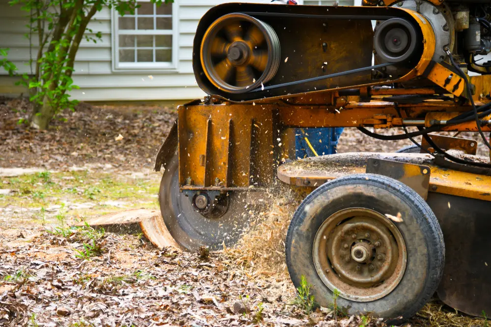 Stump grinding for different sizes and locations across Metro Atlanta