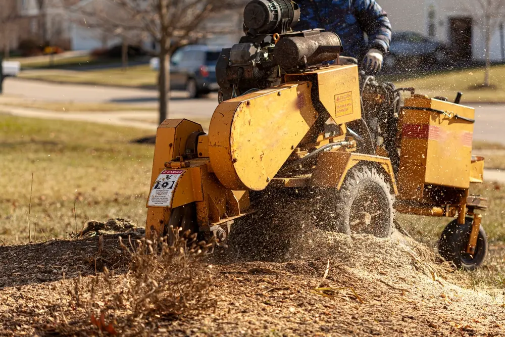 What stump grinding costs across Metro Atlanta