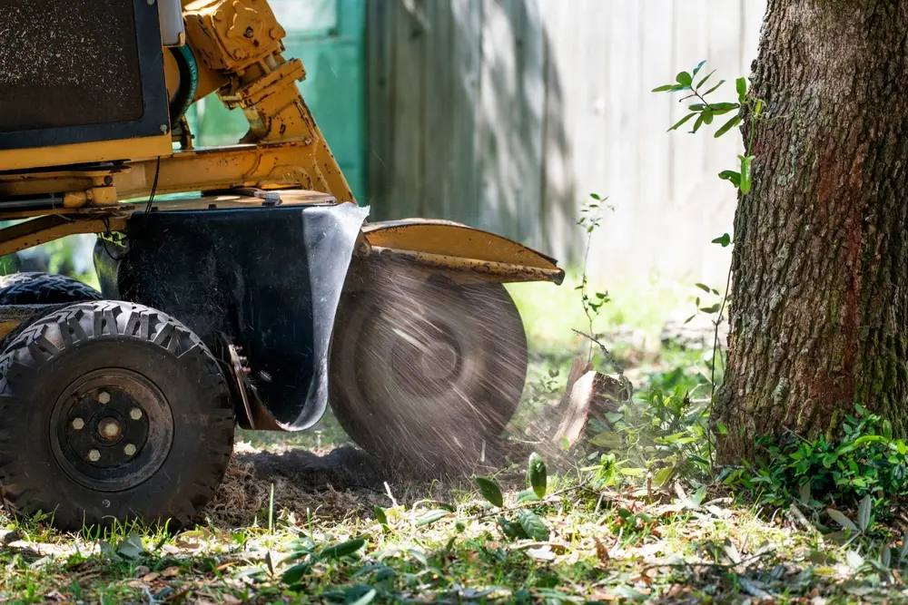 Professional stump grinding for residential and commercial properties across Metro Atlanta