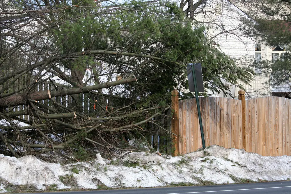 Cleanup and hauling after tree removal in Metro Atlanta